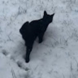 Meet your Posher, Eva